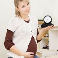 Fetal Development: Trimester 2