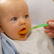 Iron Foods During Weaning
