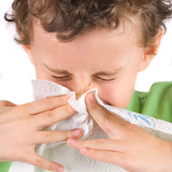Fever Causes In Toddlers