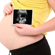 Fetal Development: 2nd Trimester